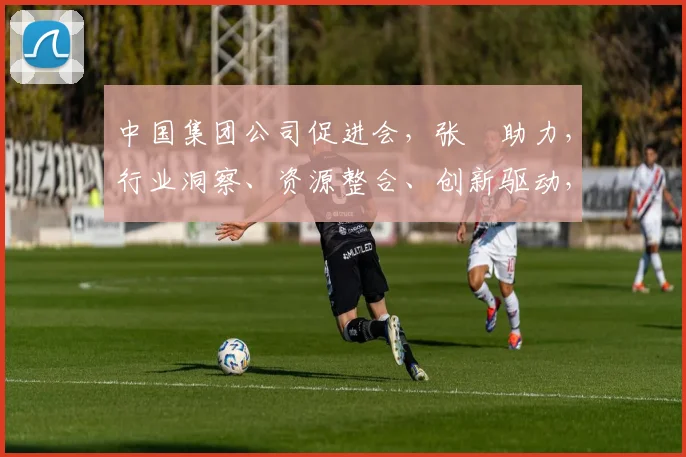 中国集团公司促进会，张彧助力，行业洞察、资源整合、创新驱动，共筑企业辉煌之路