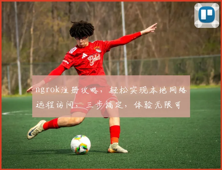 ngrok注册攻略，轻松实现本地网络远程访问，三步搞定，体验无限可能，必备技能
