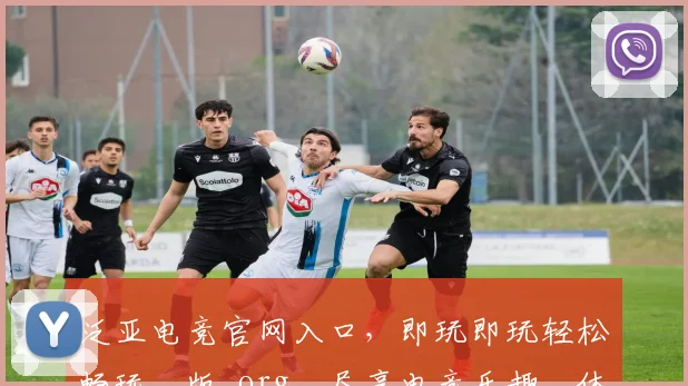 泛亚电竞官网入口，即玩即玩轻松畅玩，版.org，尽享电竞乐趣，体验非凡